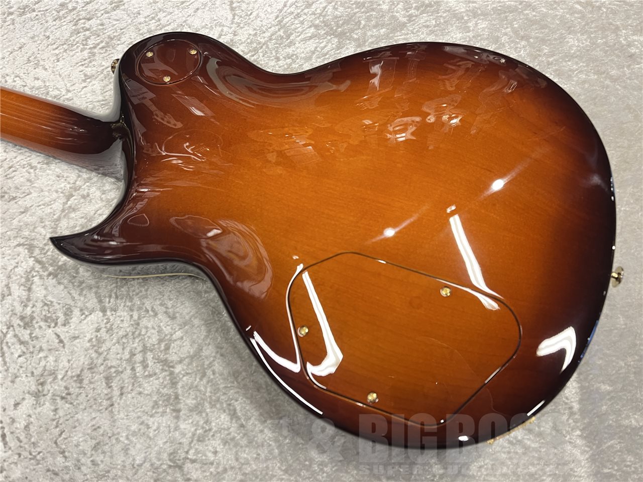 【即納可能】Aria Pro II（アリアプロツー）PE-R80（Japan Brown）　名古屋店