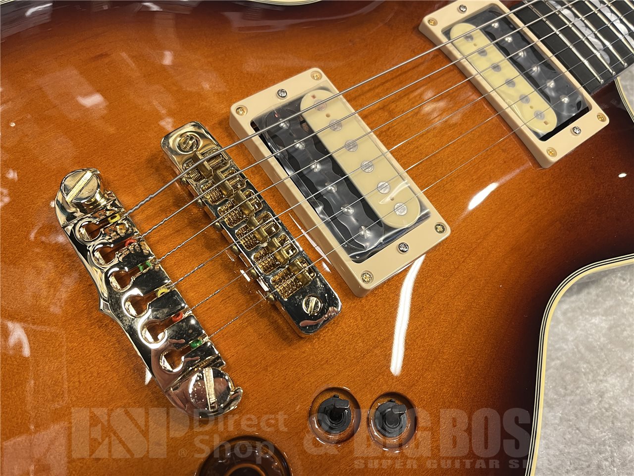 【即納可能】Aria Pro II（アリアプロツー）PE-R80（Japan Brown）　名古屋店