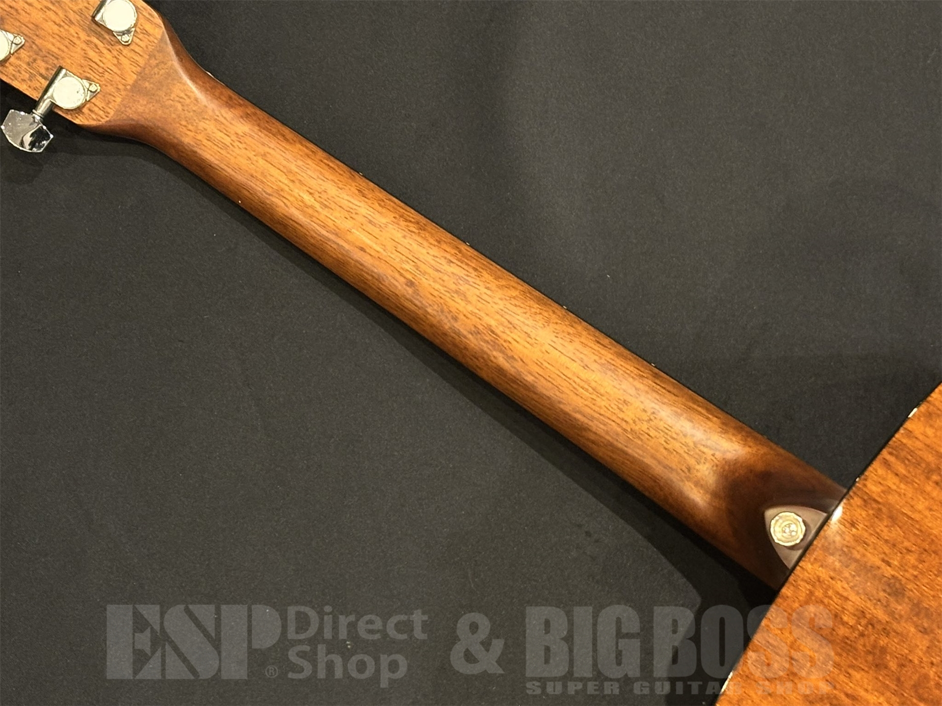 【即納可能】Morris(モーリス) M-025 / Cherry Sunburst 京都店