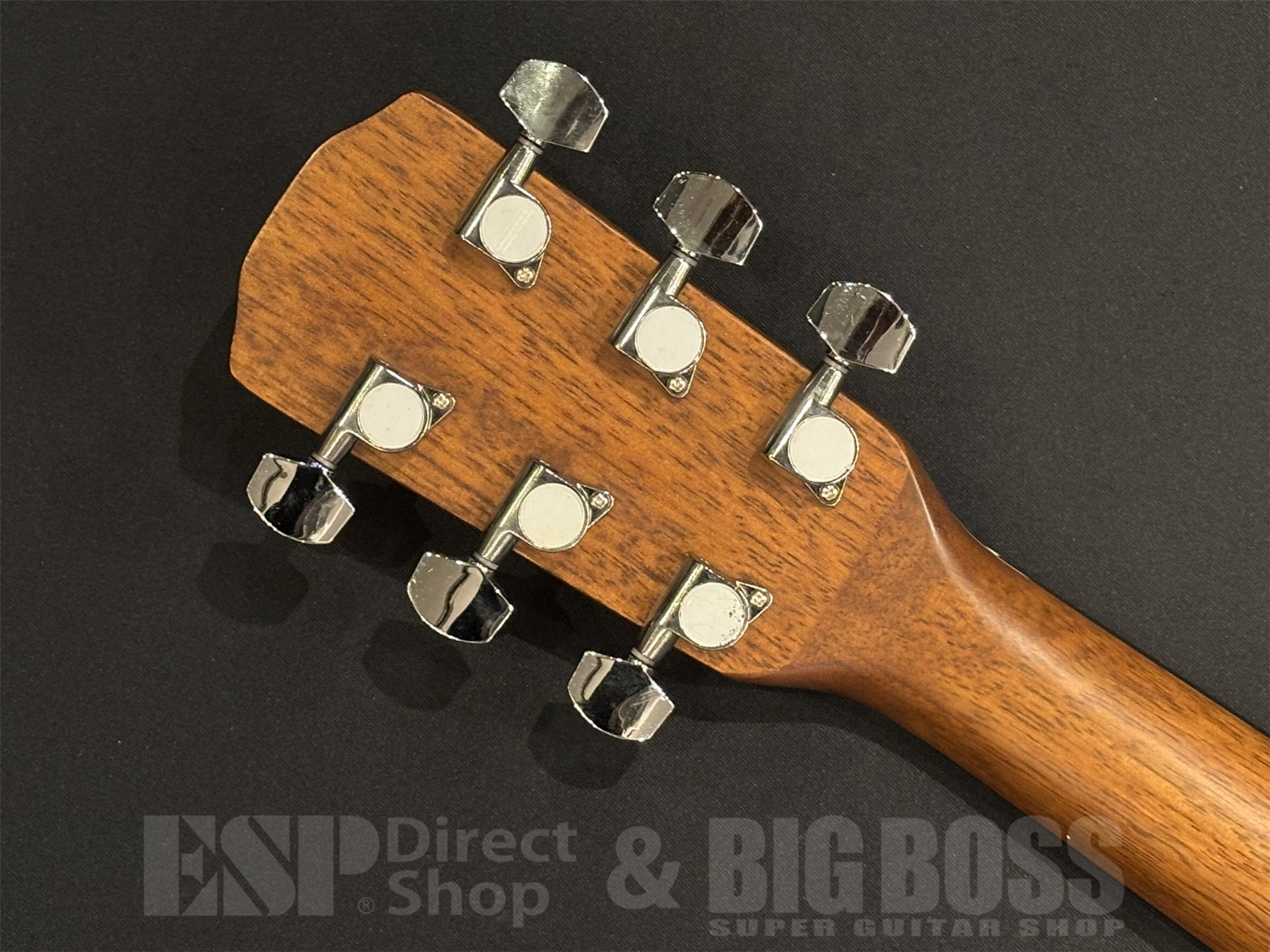 【即納可能】Morris(モーリス) M-025 / Cherry Sunburst 京都店