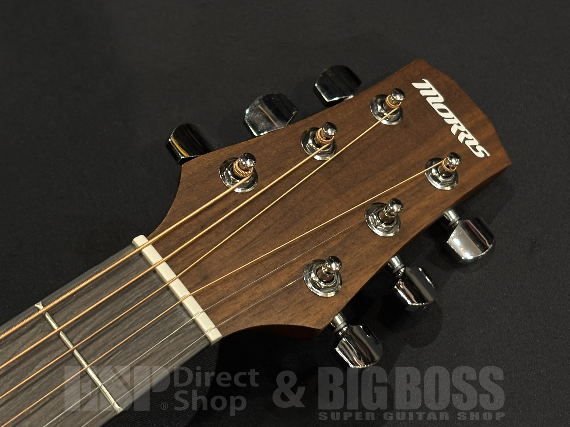 【即納可能】Morris(モーリス)M-011 / Honey Burst 京都店