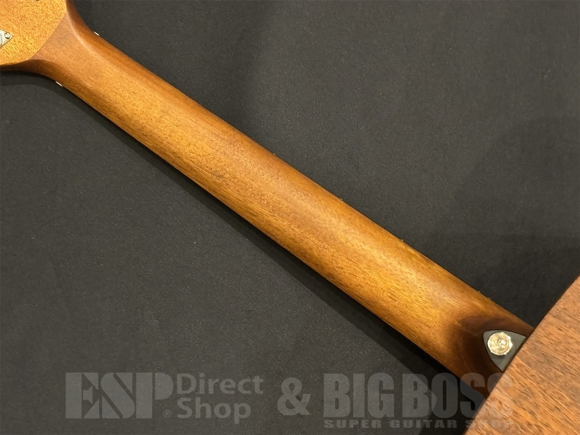 【即納可能】Morris(モーリス)M-011 / Honey Burst 京都店