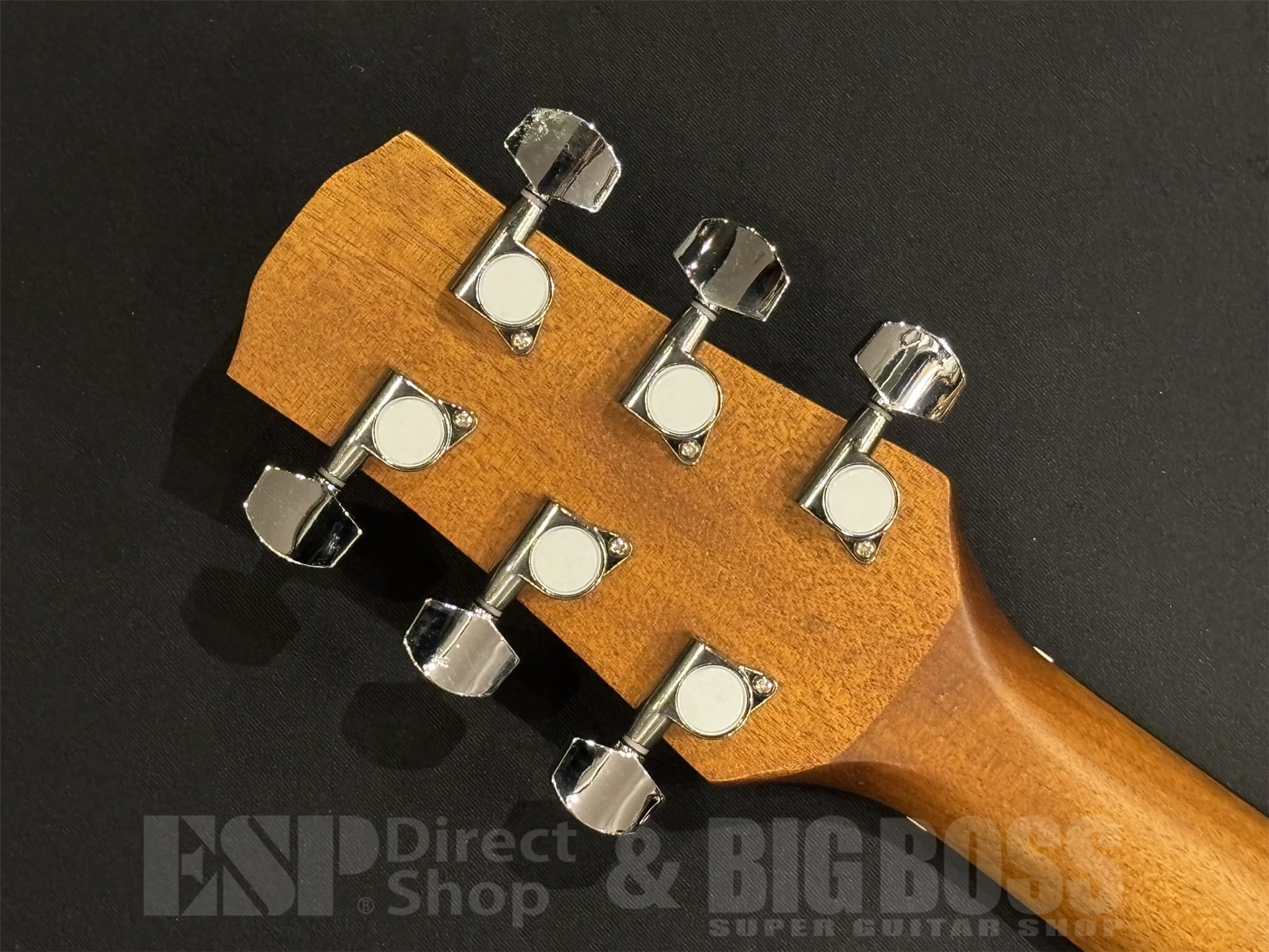 【即納可能】Morris(モーリス)M-011 / Honey Burst 京都店