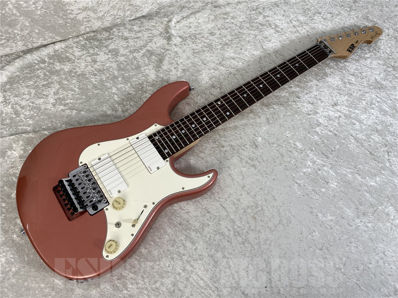 藤岡幹大/仮BAND, 藤岡 幹大 of TRICK BOX - 【ESP直営】BIGBOSS