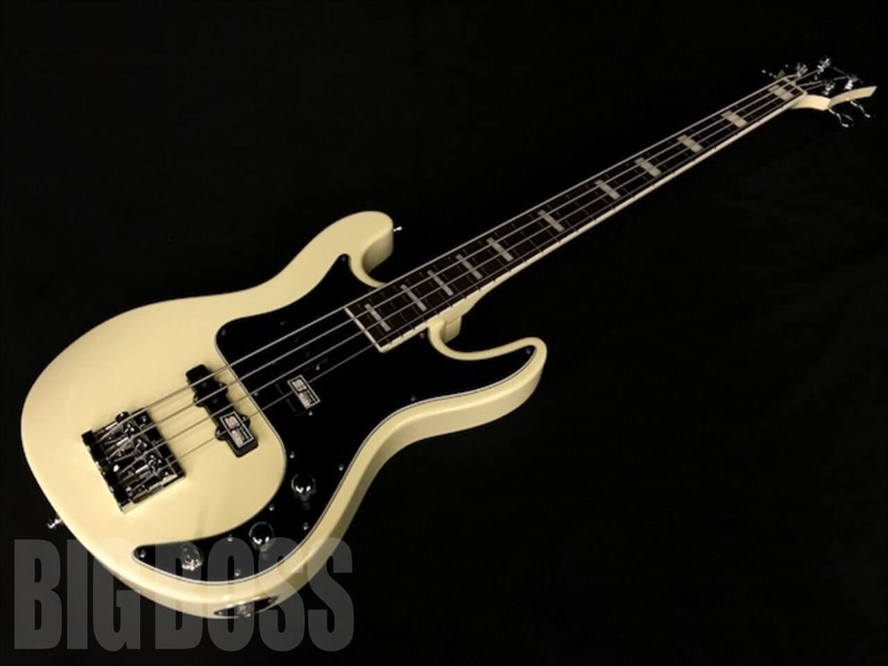 EDWARDS Artist Series E-AK-135 SIDモデル純正ソフトシェルケース