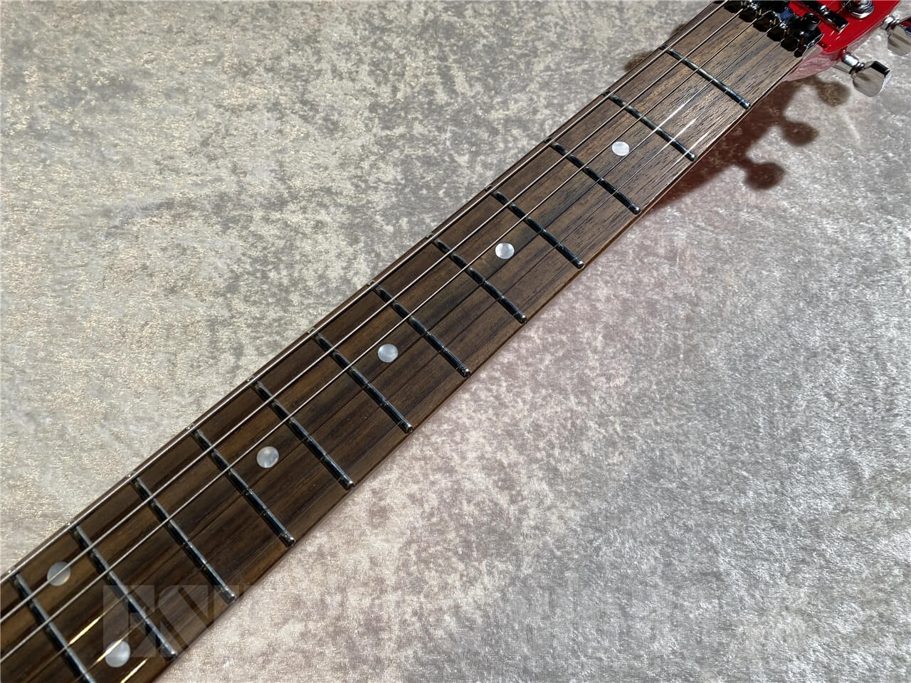 【即納可能】EDWARDS(エドワーズ) E-RS/R (Red) 札幌店