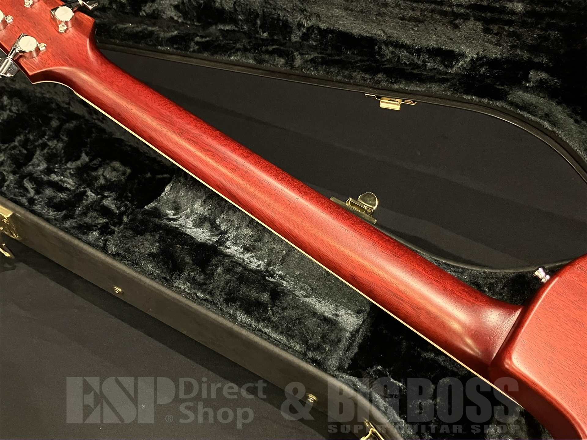 【即納可能/USED】Zemaitis(ゼマイティス) A24MF / Natural 京都店