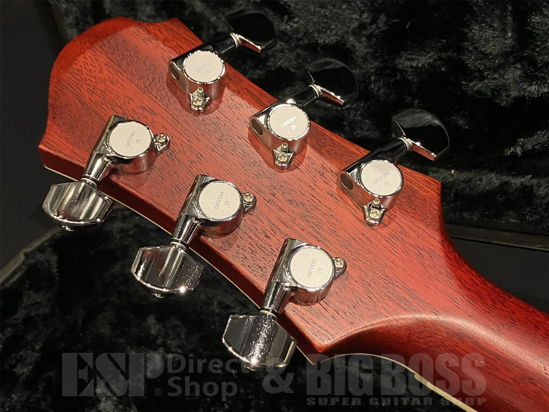 【即納可能/USED】Zemaitis(ゼマイティス) A24MF / Natural 京都店