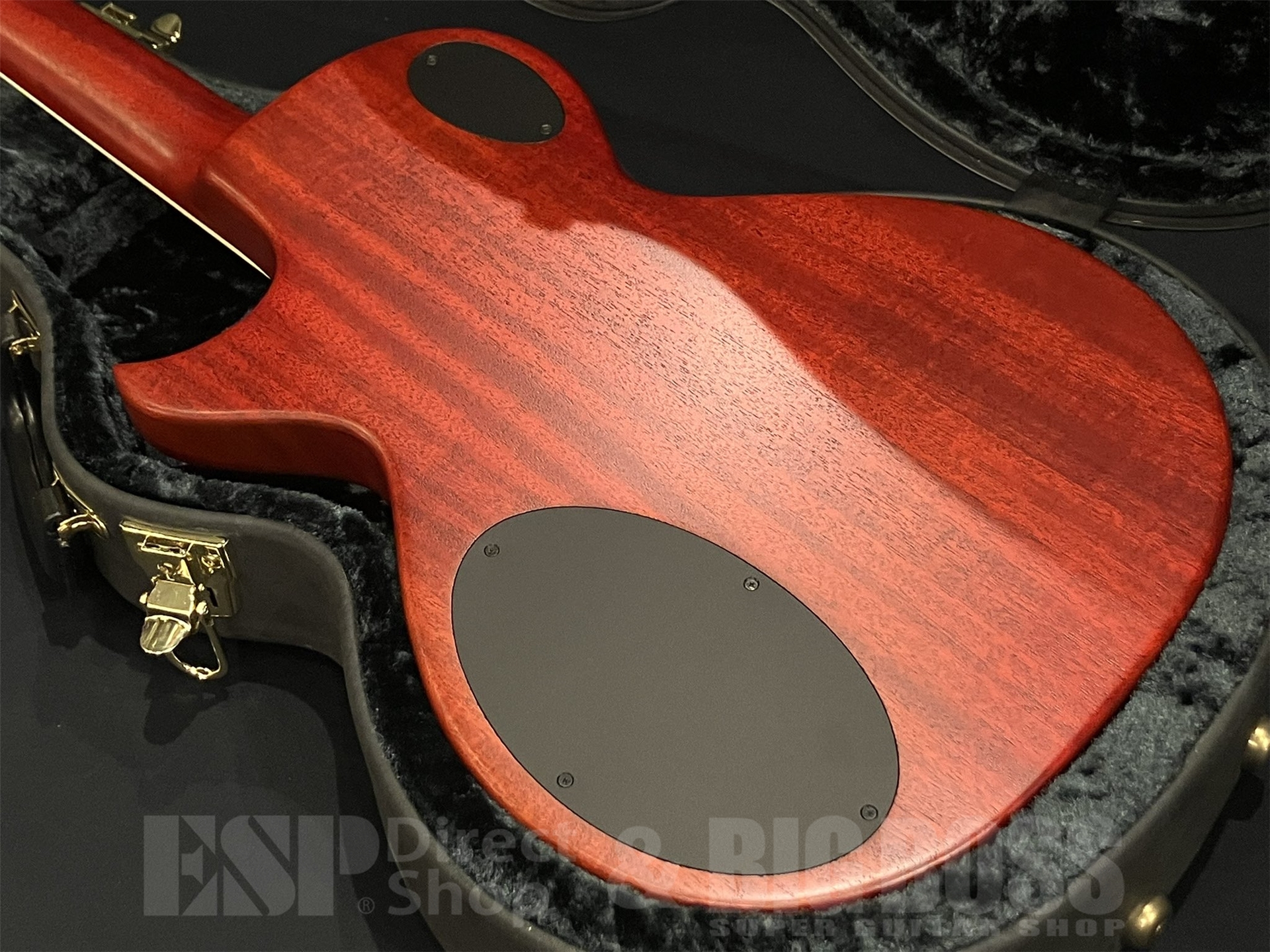 【即納可能/USED】Zemaitis(ゼマイティス) A24MF / Natural 京都店