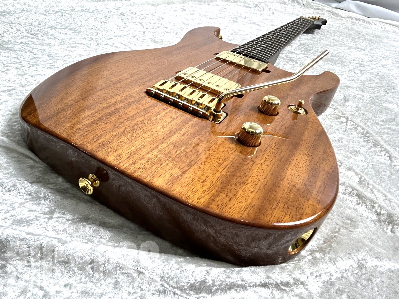 【即納可能】Addictone Custom Guitars(アディクトーンカスタムギターズ) ARENA Brazilian Rosewood Neck/Honduras Mahogany Body #559 お茶の水前店(東京)