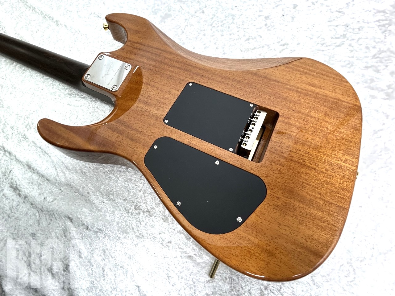 【即納可能】Addictone Custom Guitars(アディクトーンカスタムギターズ) ARENA Brazilian Rosewood Neck/Honduras Mahogany Body #559 お茶の水前店(東京)