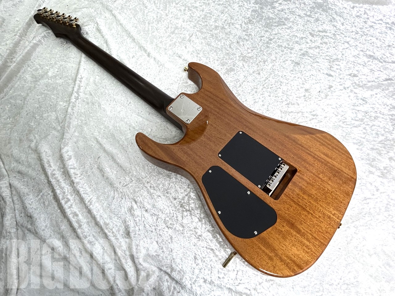 【即納可能】Addictone Custom Guitars(アディクトーンカスタムギターズ) ARENA Brazilian Rosewood Neck/Honduras Mahogany Body #559 お茶の水前店(東京)