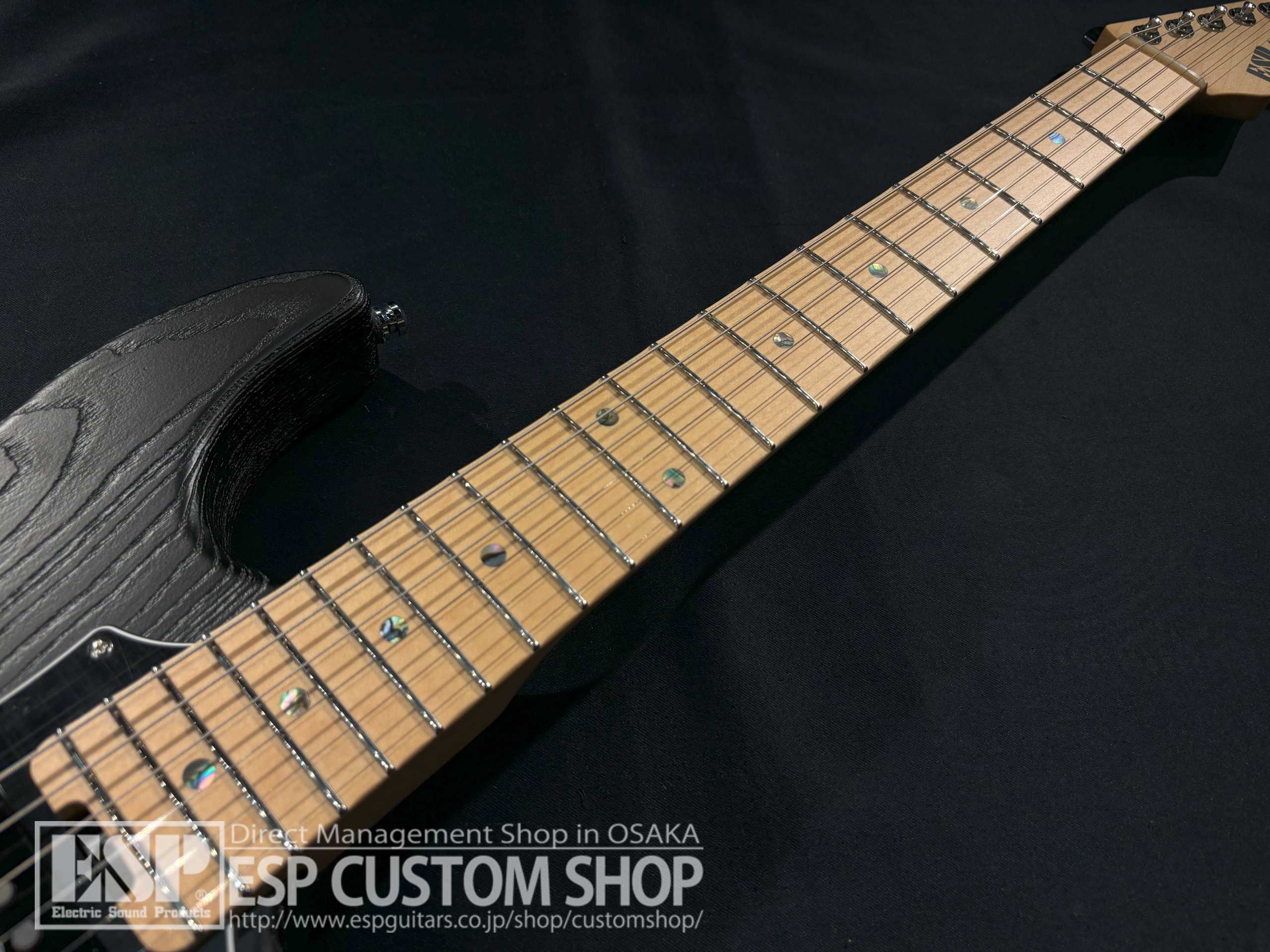 【即納可能】ESP(イーエスピー) SNAPPER-AS/M DRIFTWOOD / Black (Color Order Model) 大阪店