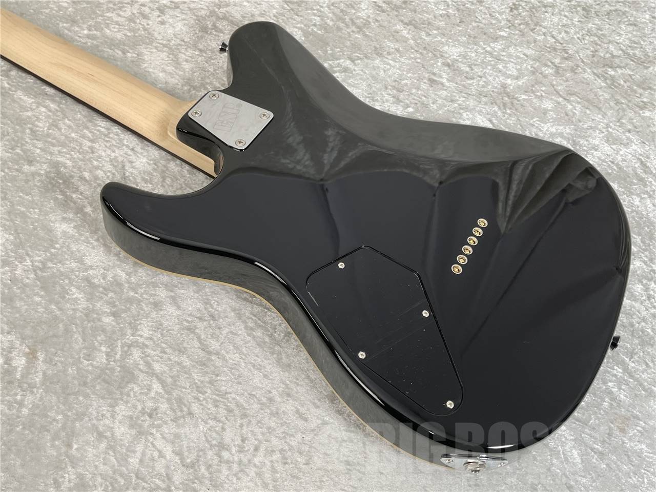 【即納可能】EDWARDS(エドワーズ) E-THROBBER-CTM (Black) お茶の水駅前店・別館