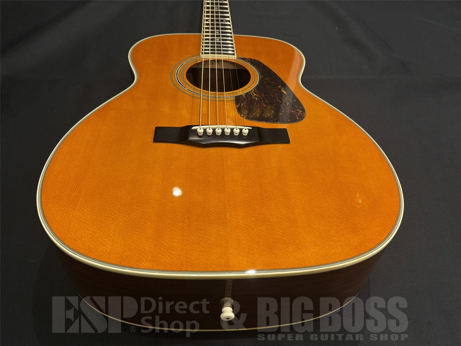 【USED/即納可能】Morris(モーリス) MF501 / Natural 京都店