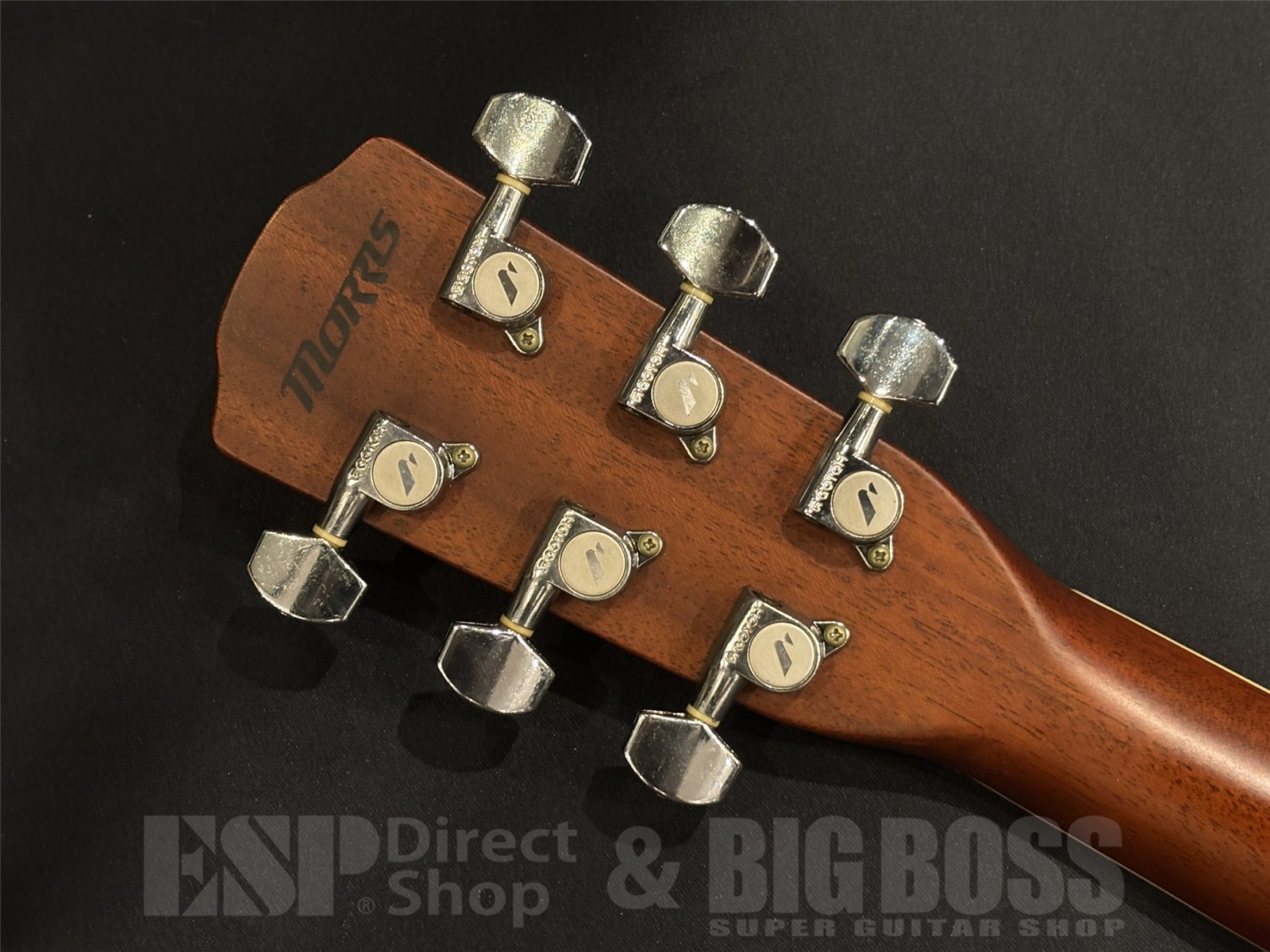 【USED/即納可能】Morris(モーリス) MF501 / Natural 京都店