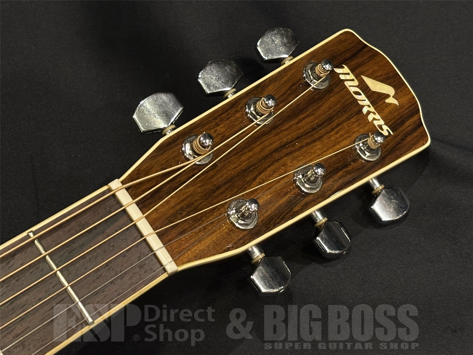 【USED/即納可能】Morris(モーリス) MF501 / Natural 京都店