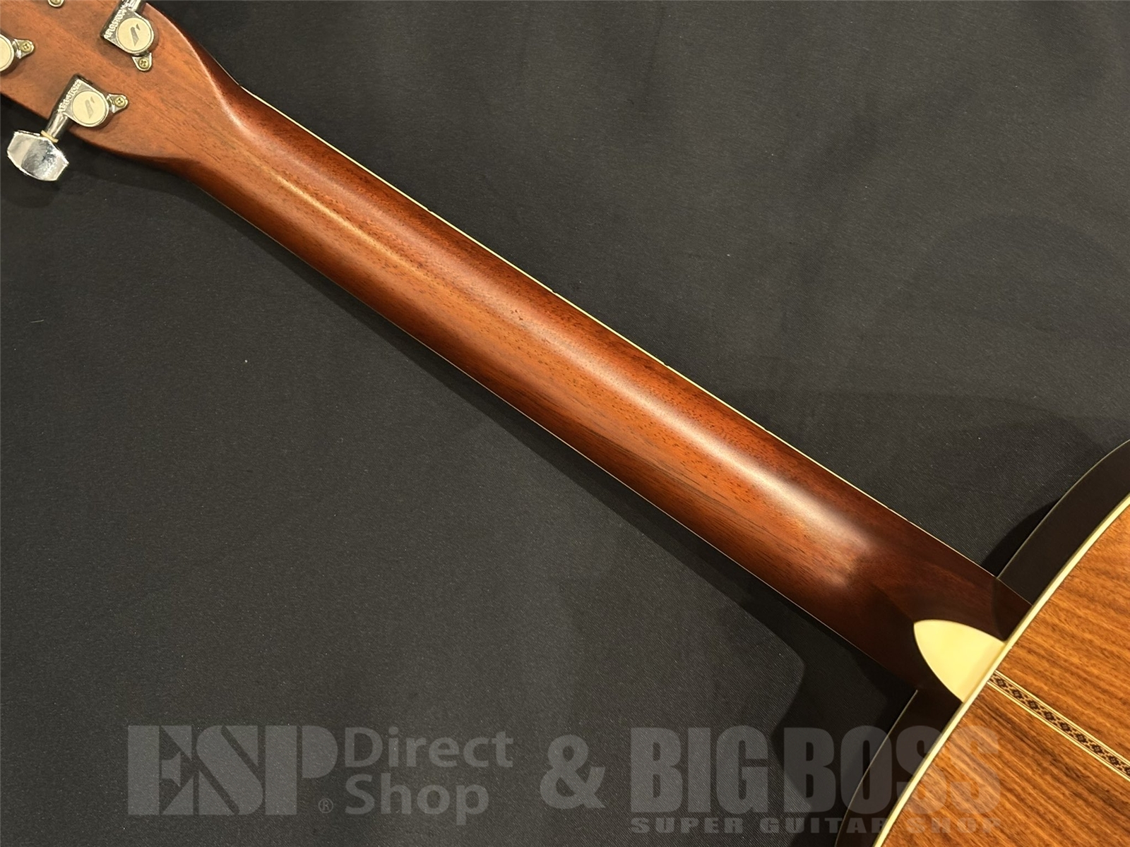 【USED/即納可能】Morris(モーリス) MF501 / Natural 京都店