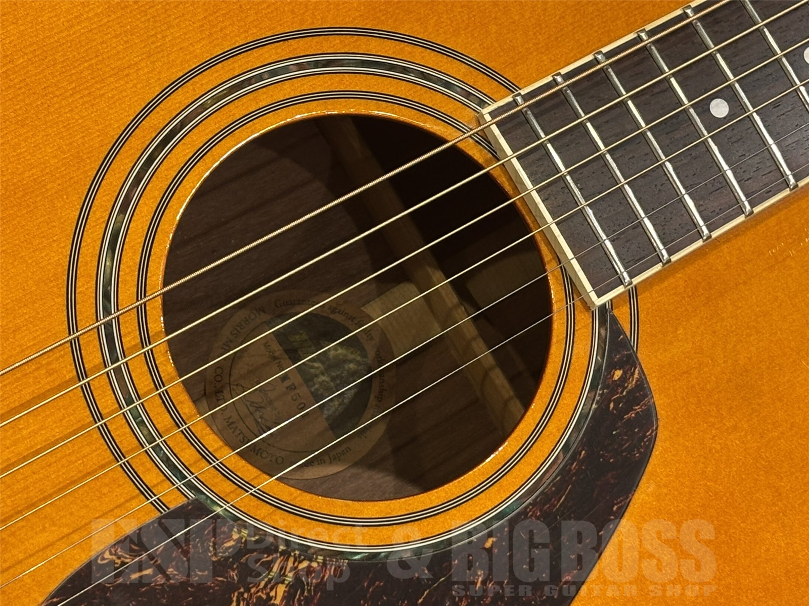 【USED/即納可能】Morris(モーリス) MF501 / Natural 京都店