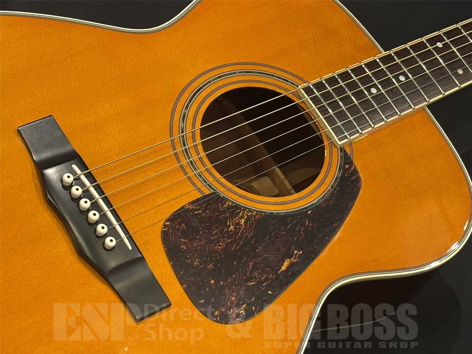 【USED/即納可能】Morris(モーリス) MF501 / Natural 京都店