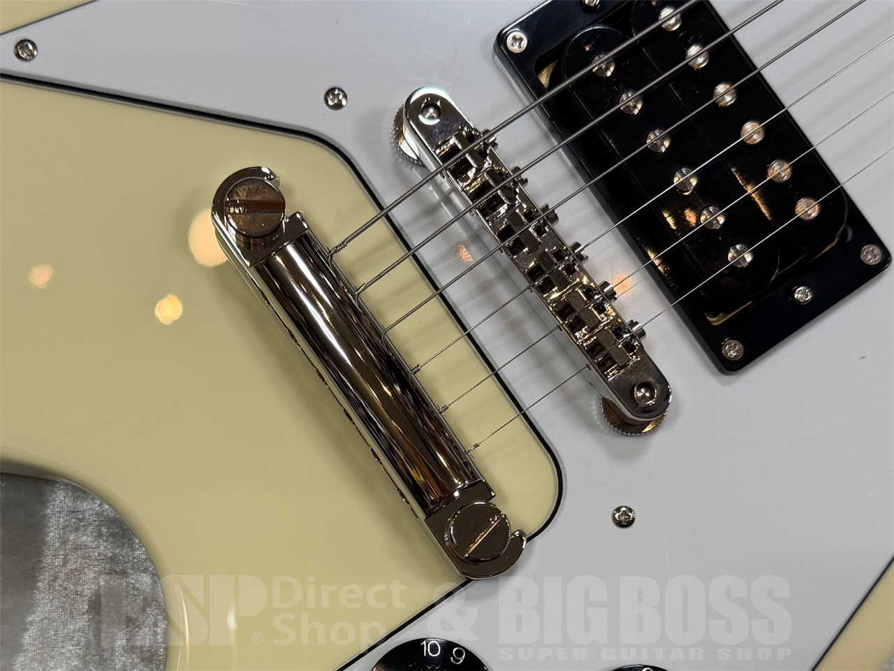 【即納可能】EDWARDS E-FV-LTD / VW   GWS