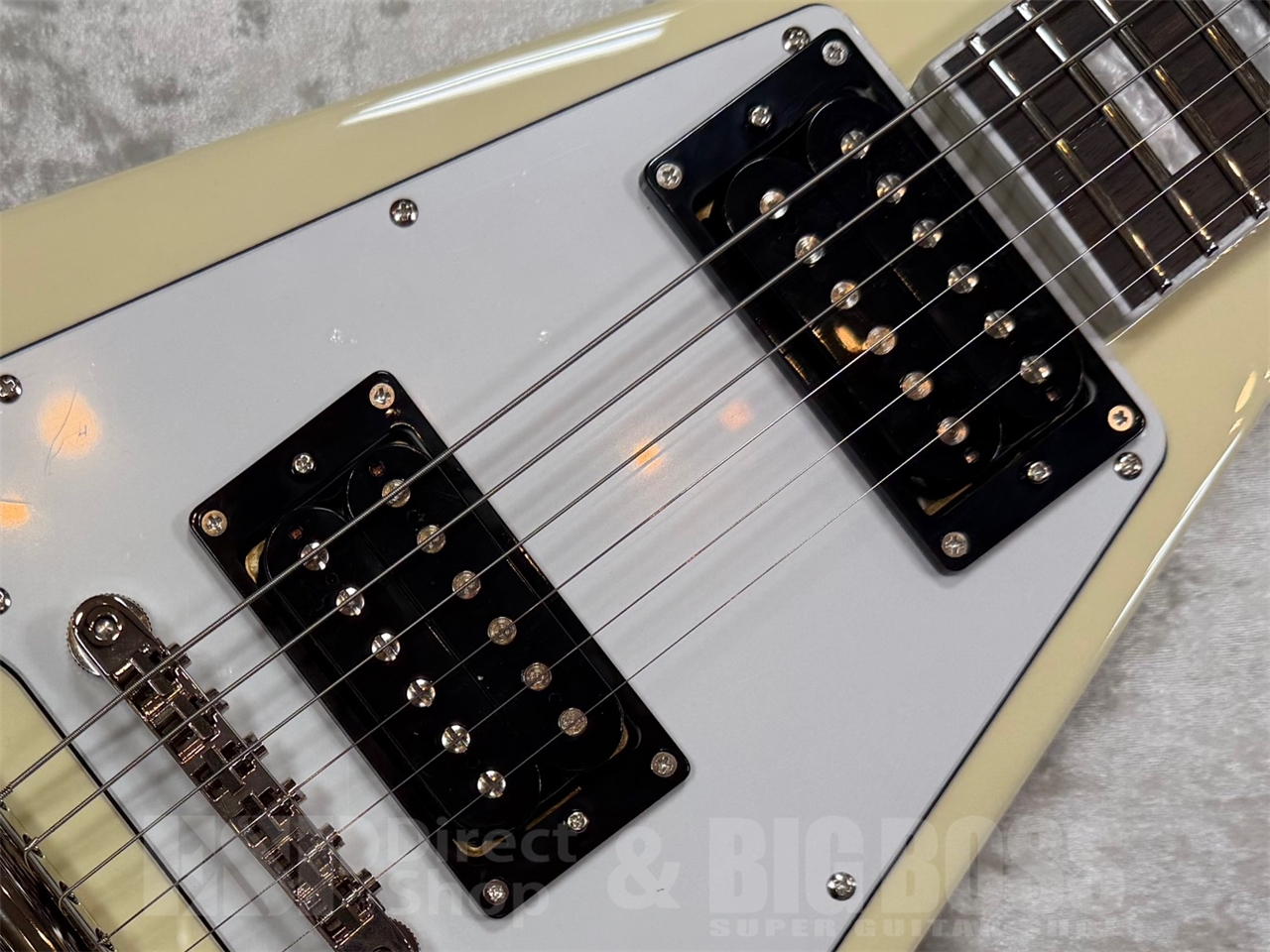 【即納可能】EDWARDS E-FV-LTD / VW   GWS