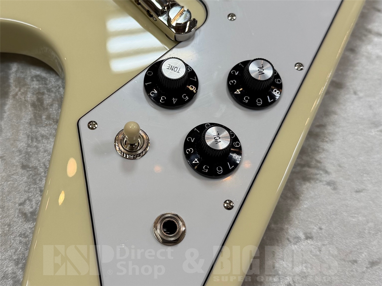 【即納可能】EDWARDS E-FV-LTD / VW   GWS