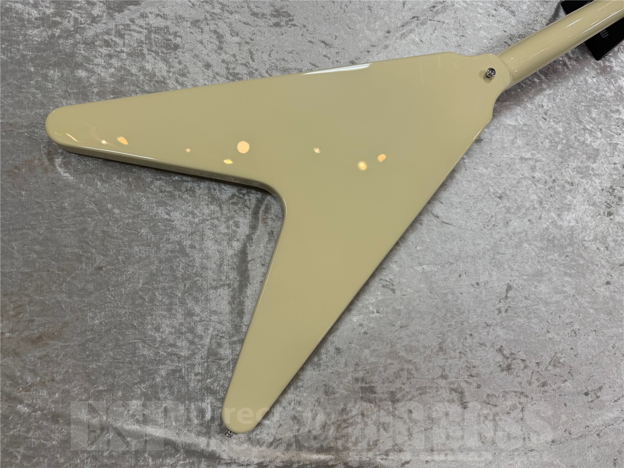 【即納可能】EDWARDS E-FV-LTD / VW   GWS