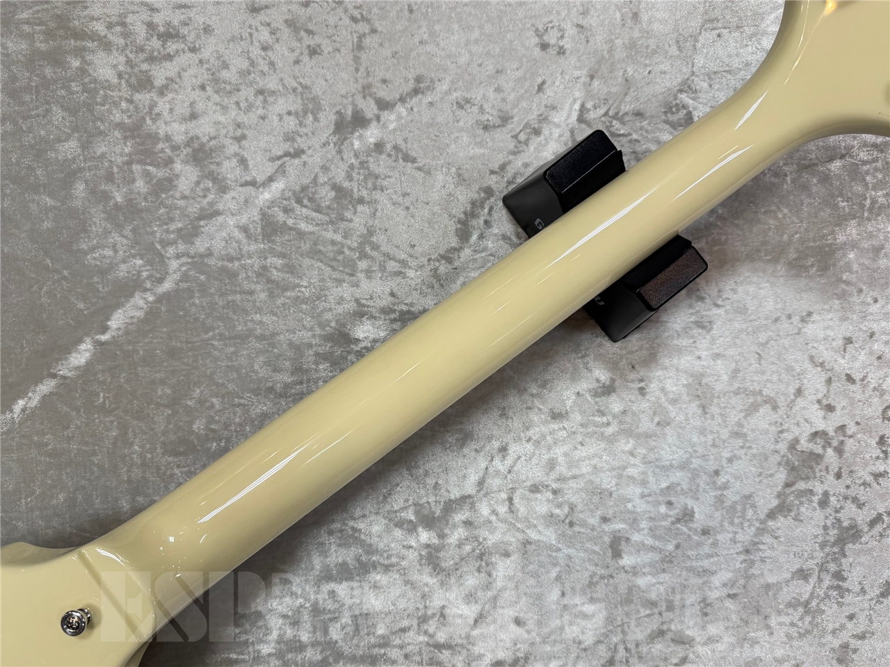 【即納可能】EDWARDS E-FV-LTD / VW   GWS