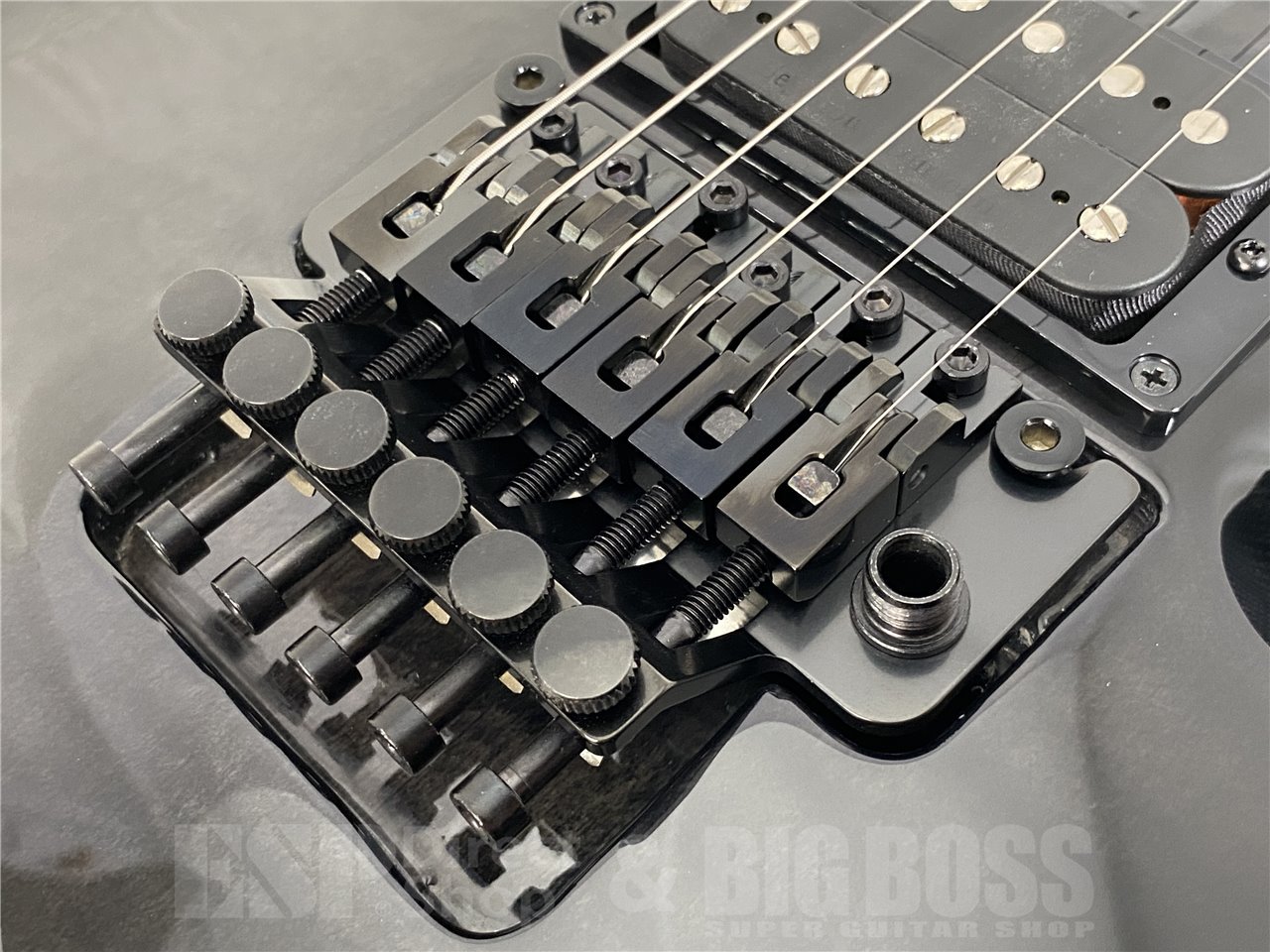 【即納可能】E-II(イーツー) HORIZON-III FR / See Thru Black Sunburst お茶の水駅前店(東京)