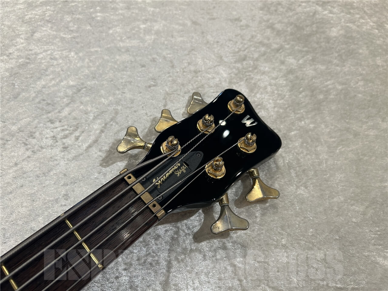 【即納可能/お客様委託品】 Warwick (ワーウィック) Streamer Stage I 5st / Nirvana Black Transparent 仙台店