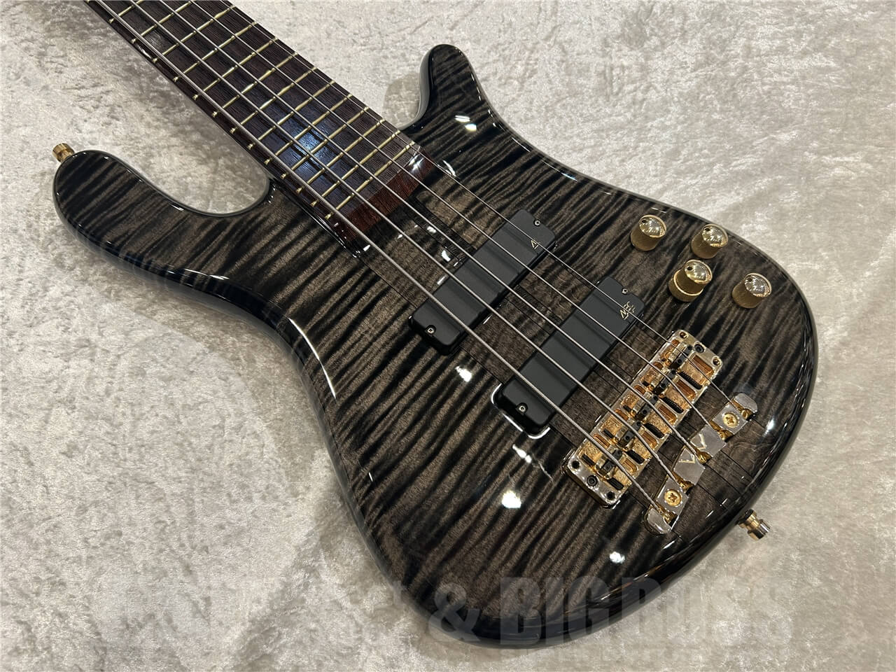 【即納可能/お客様委託品】 Warwick (ワーウィック) Streamer Stage I 5st / Nirvana Black Transparent 仙台店