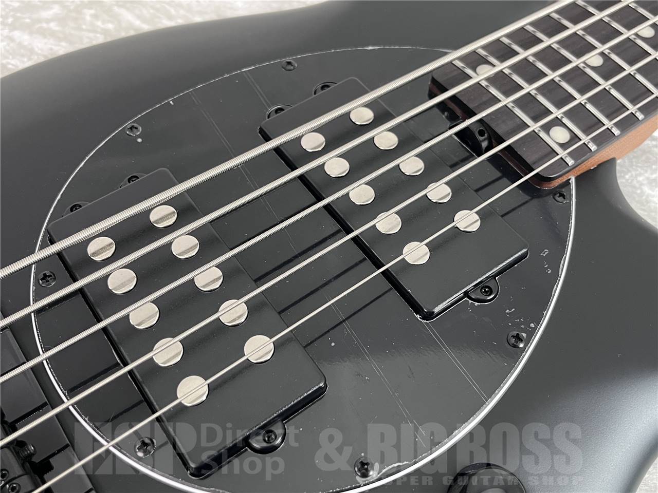 【即納可能】Sterling by MUSICMAN(スターリン)  BONGO5-SBK-R2 (Stealth Black) お茶の水駅前店・別館