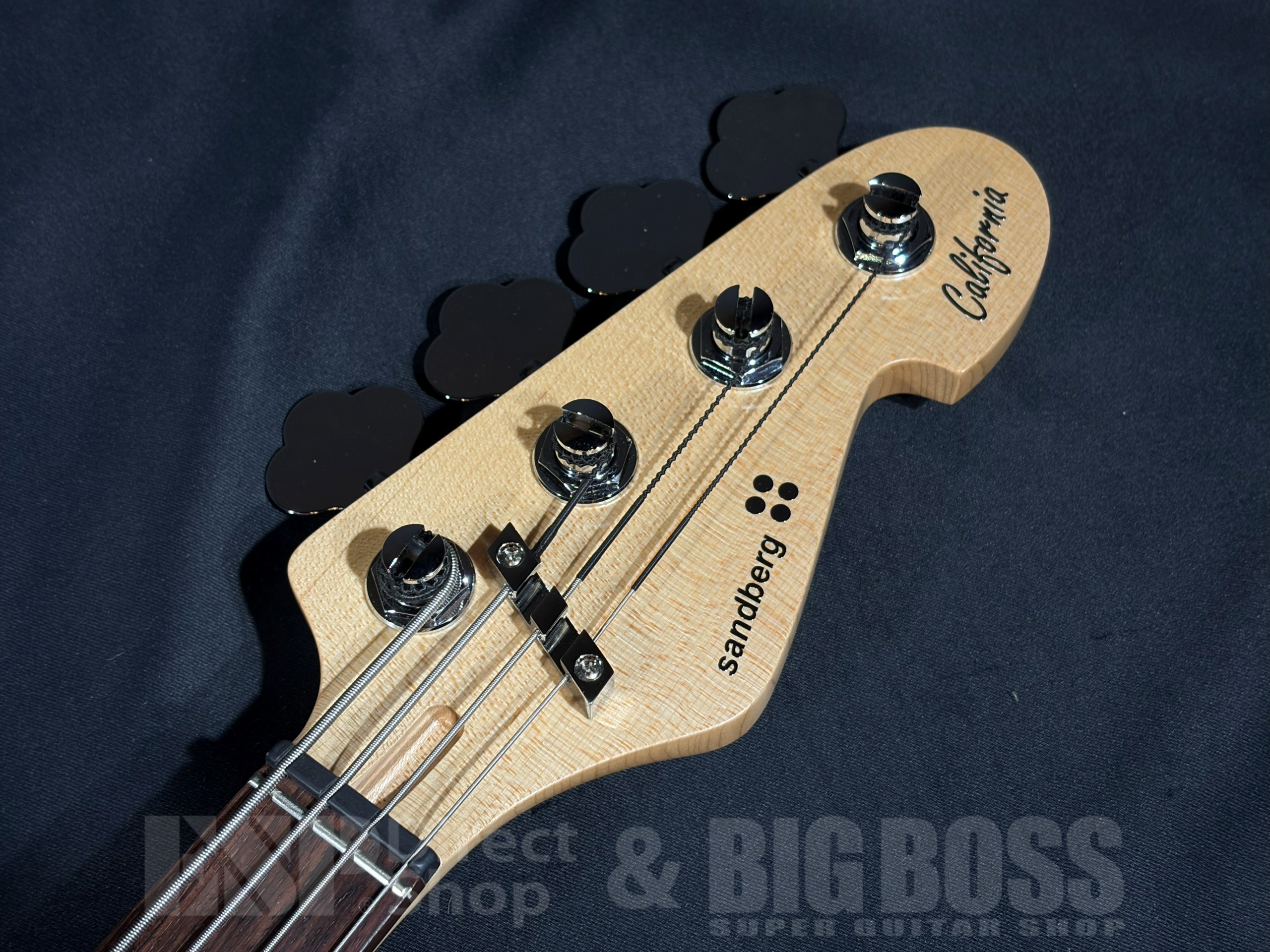 【即納可能】	Sandberg(サンドバーグ) California VM4 Highgloss / marley blue 大阪店