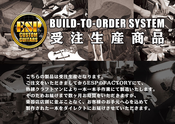 【受注生産】Navigator(ナビゲーター) N-ST SGZ Custom -S.K.I.N.- (LUNA SEA/SUGIZOモデル)