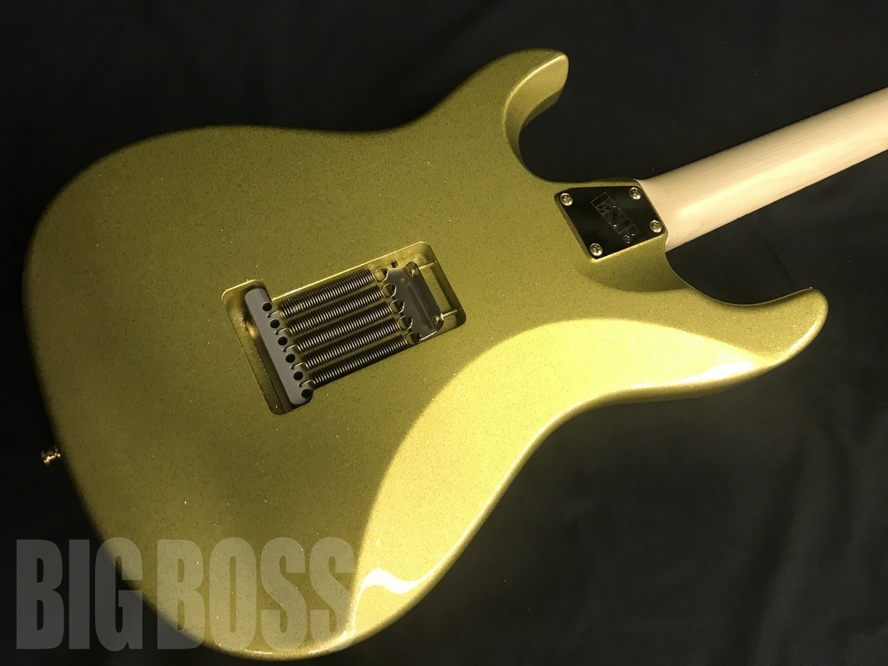 【受注生産】ESP(イーエスピー) SNAPPER Ohmura Custom -Eclipse Gold- (大村孝佳モデル)