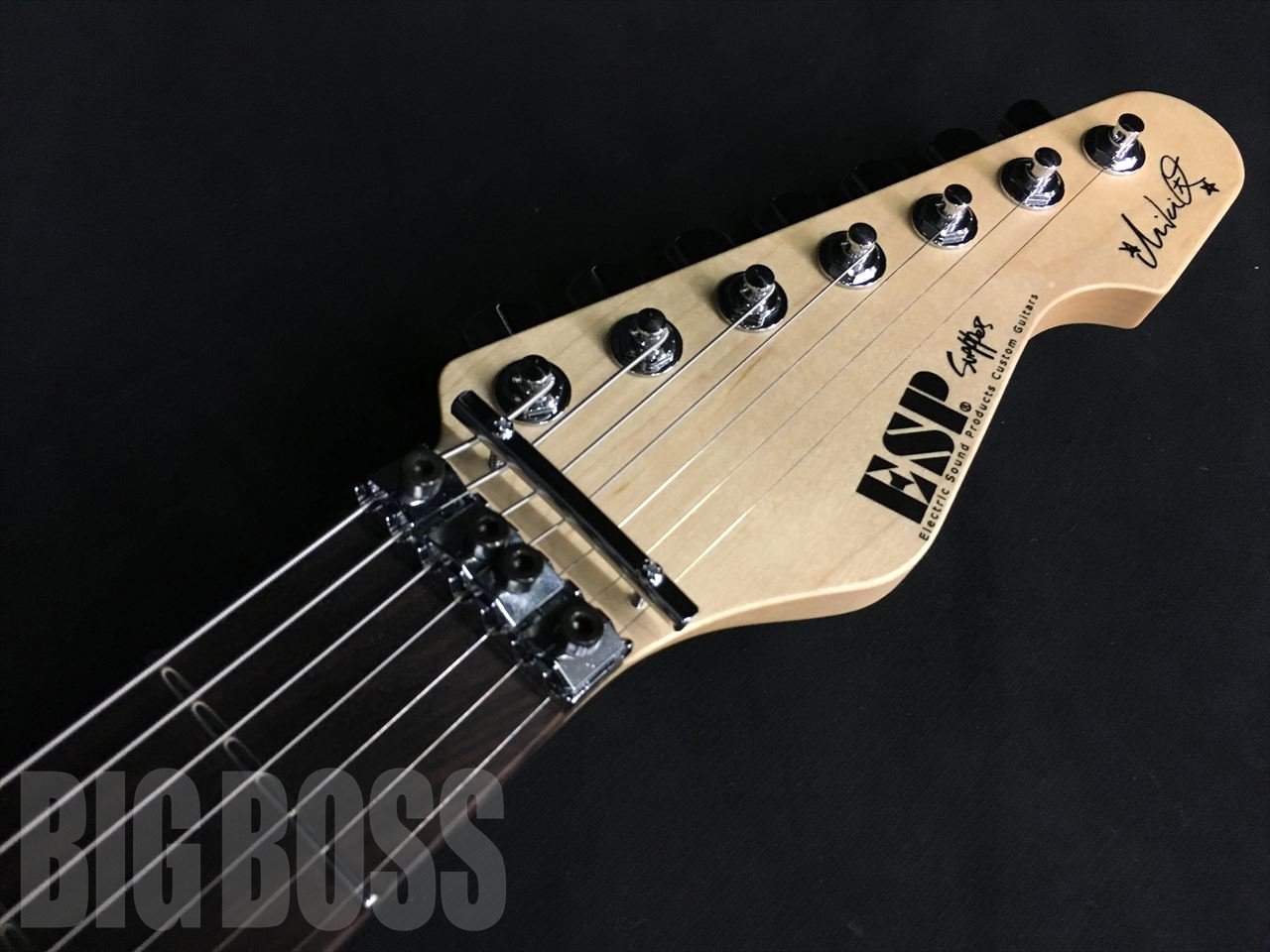 【受注生産】ESP(イーエスピー) SNAPPER-7 Fujioka Custom (藤岡幹大モデル)【7弦ギター】