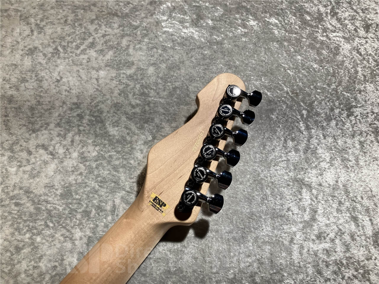 【即納可能】ESP(イ―エスピー) THROBBER-STD (3 Tone Sunburst) 札幌店