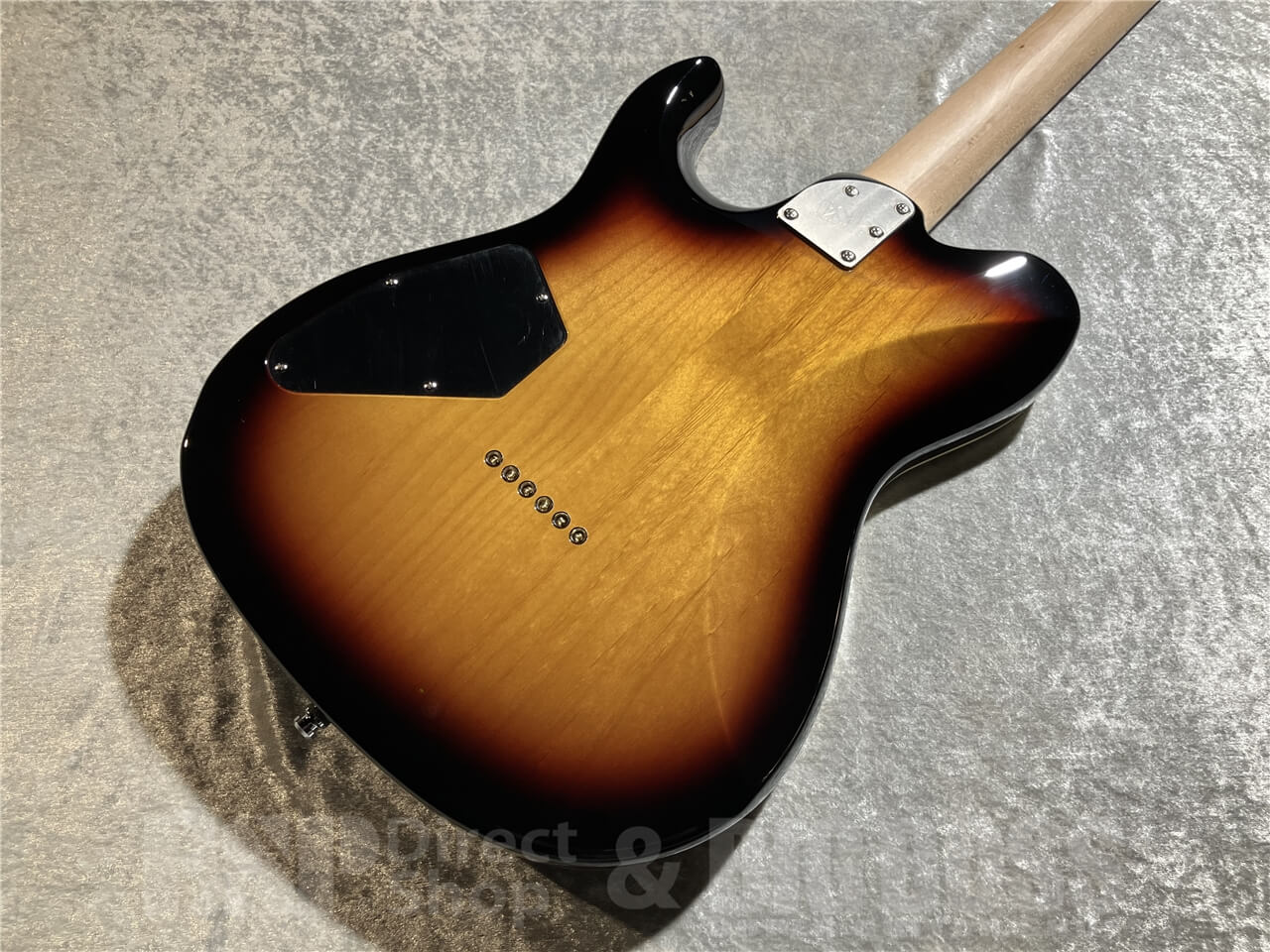 【即納可能】ESP(イ―エスピー) THROBBER-STD (3 Tone Sunburst) 札幌店