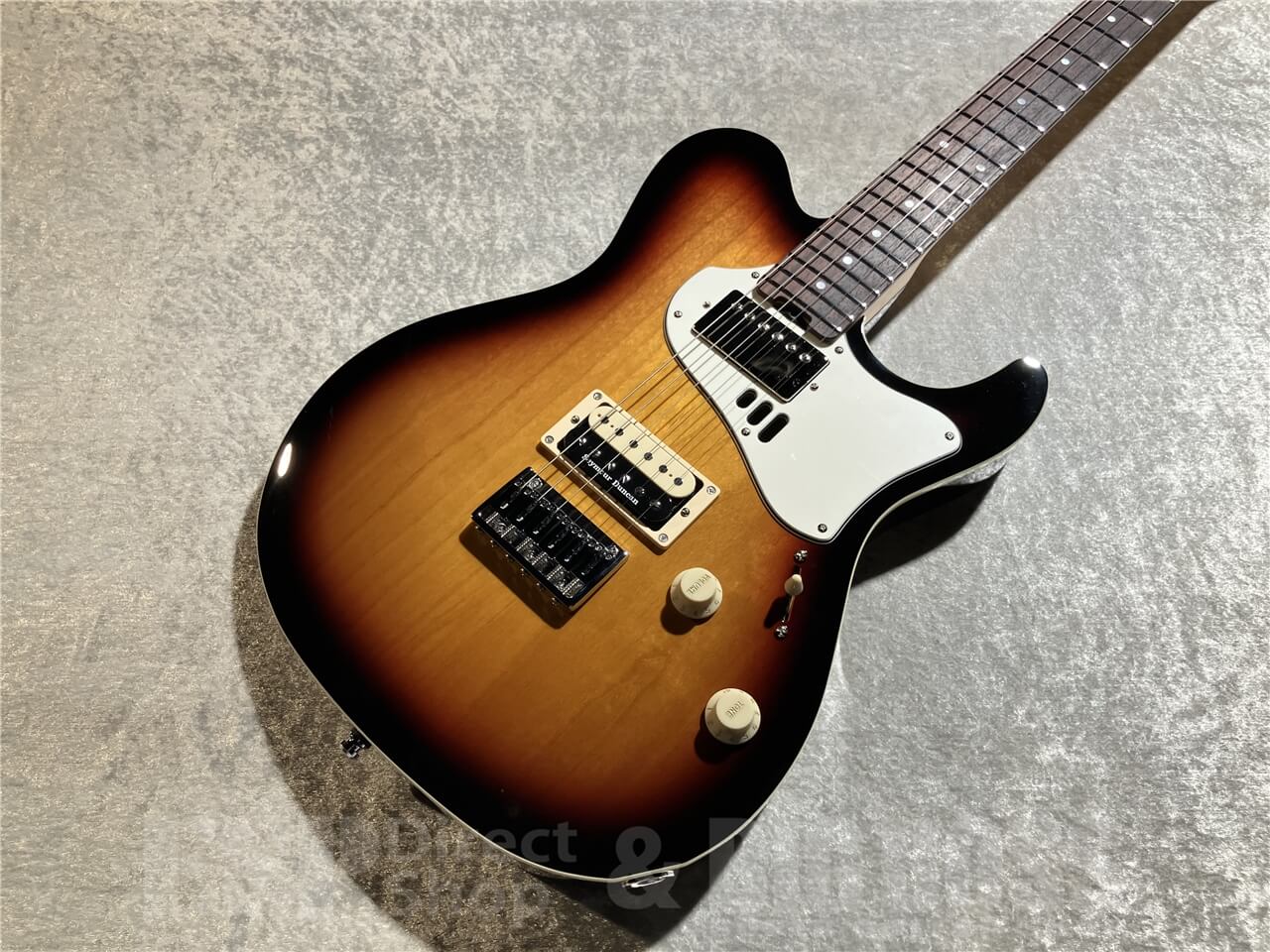【即納可能】ESP(イ―エスピー) THROBBER-STD (3 Tone Sunburst) 札幌店