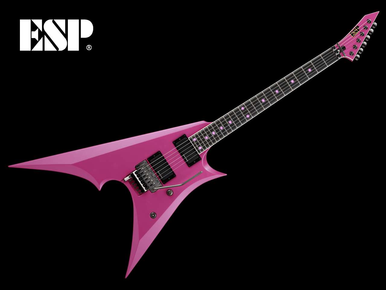 【受注生産】ESP(イーエスピー) CHUNPA V-LED (Zilqy, ex.ALDIOUS /トキModel)