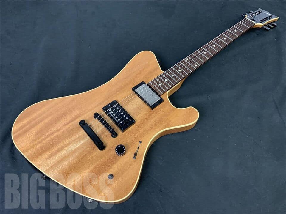 【受注生産】ESP(イーエスピー) 一角 (04 Limited Sazabys/RYU-TA Model)