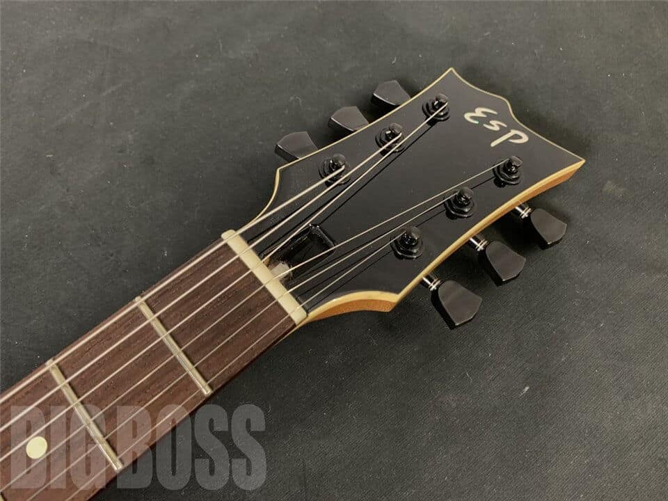 【受注生産】ESP(イーエスピー) 一角 (04 Limited Sazabys/RYU-TA Model)