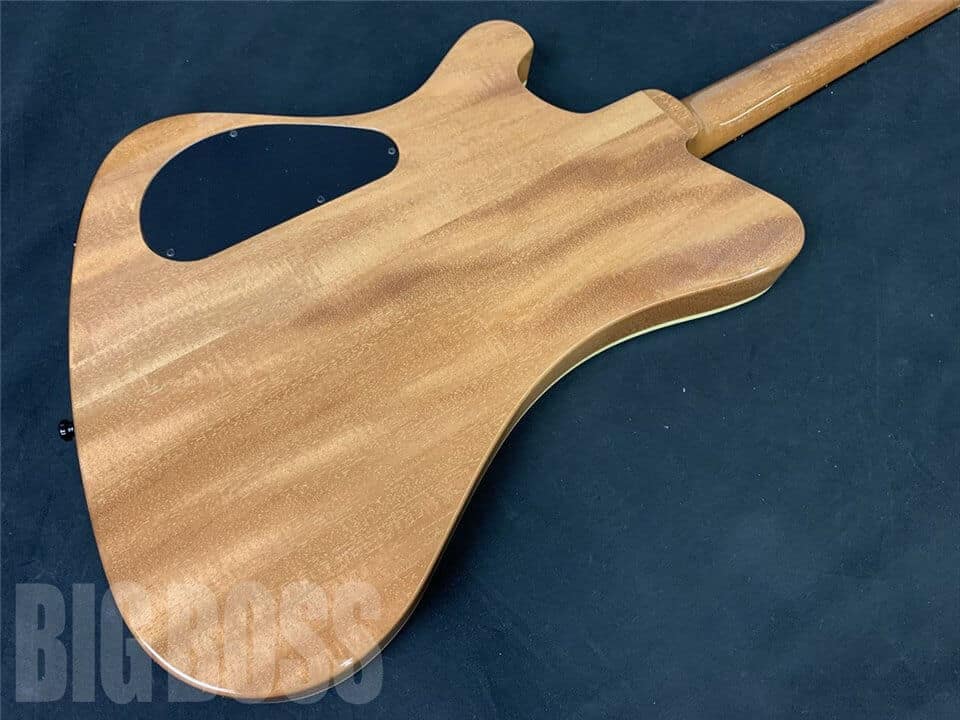 【受注生産】ESP(イーエスピー) 一角 (04 Limited Sazabys/RYU-TA Model)