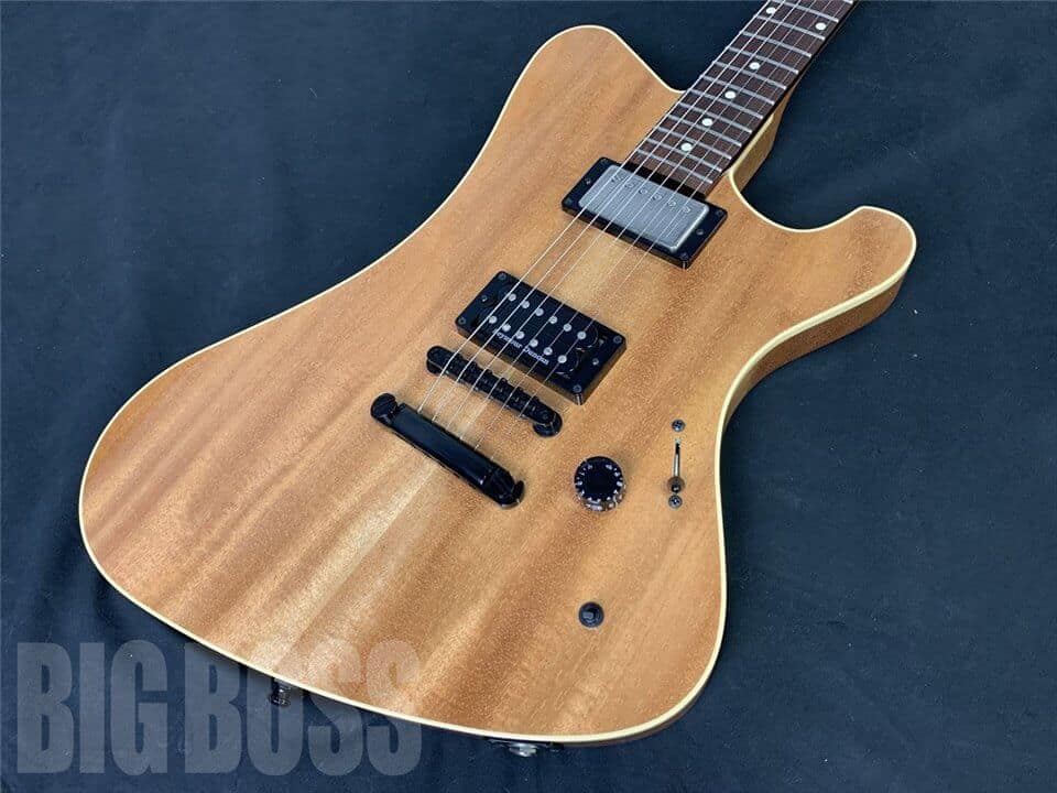 【受注生産】ESP(イーエスピー) 一角 (04 Limited Sazabys/RYU-TA Model)