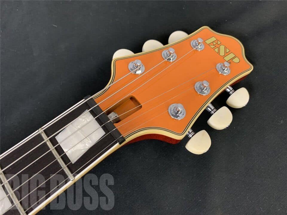 【受注生産】ESP(イーエスピー) レオン (04 Limited Sazabys/HIROKAZ Model)