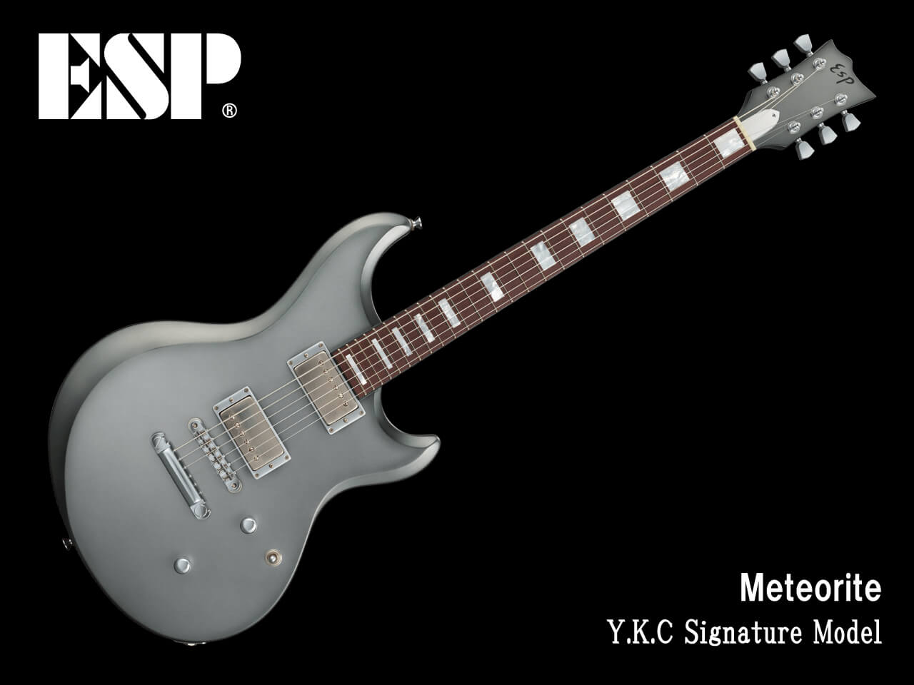 【受注生産】ESP(イーエスピー) Meteorite (coldrain/Y.K.C Model)