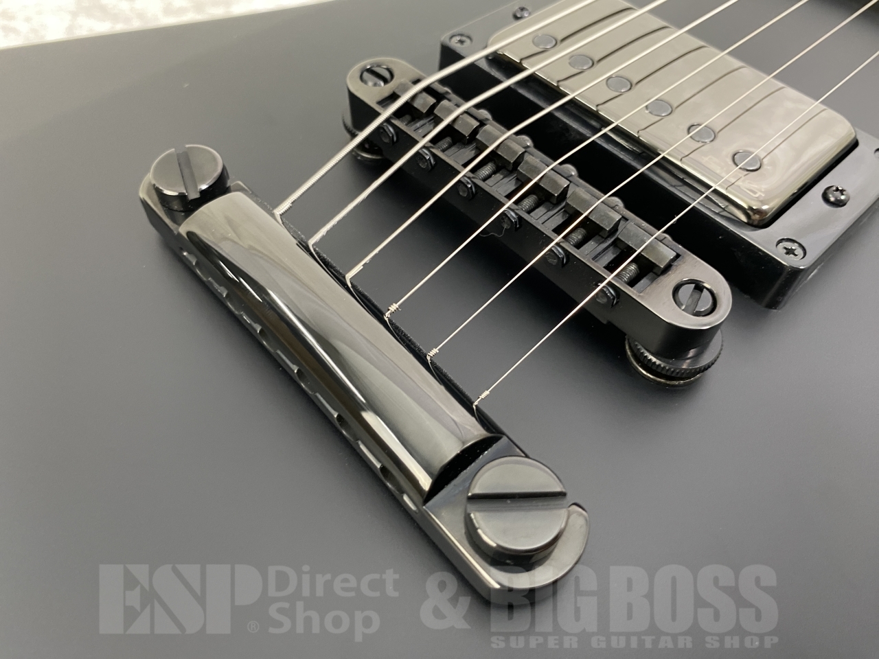 【受注生産】ESP(イーエスピー) SNAKEBYTE / Black Satin (METALLICA/James Hetfieldモデル)