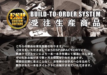 【受注生産】【ESP×BanG Dream!コラボギター】ESP(イーエスピー) M-II SAYO / Roselia 氷川紗夜 Model