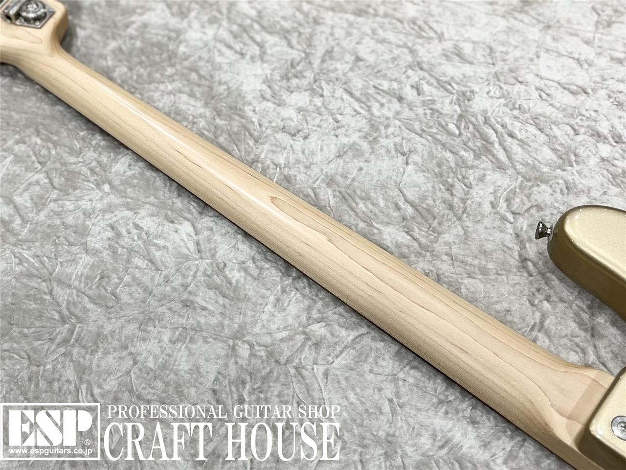 【即納可能】Sadowsky RV4HPJ / Shoreline Gold　渋谷店